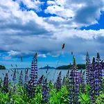 Bar Harbor Hikers Dream