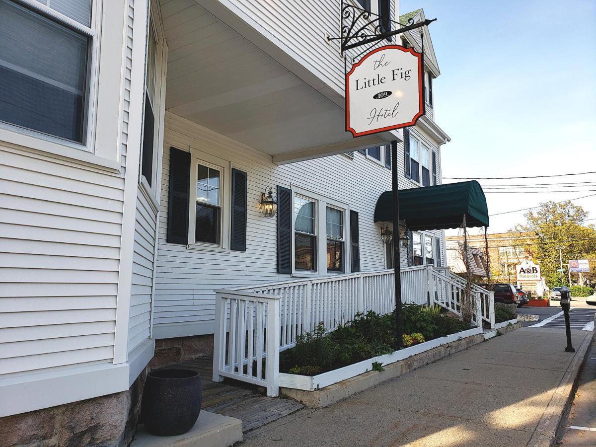 Inn Little Fig