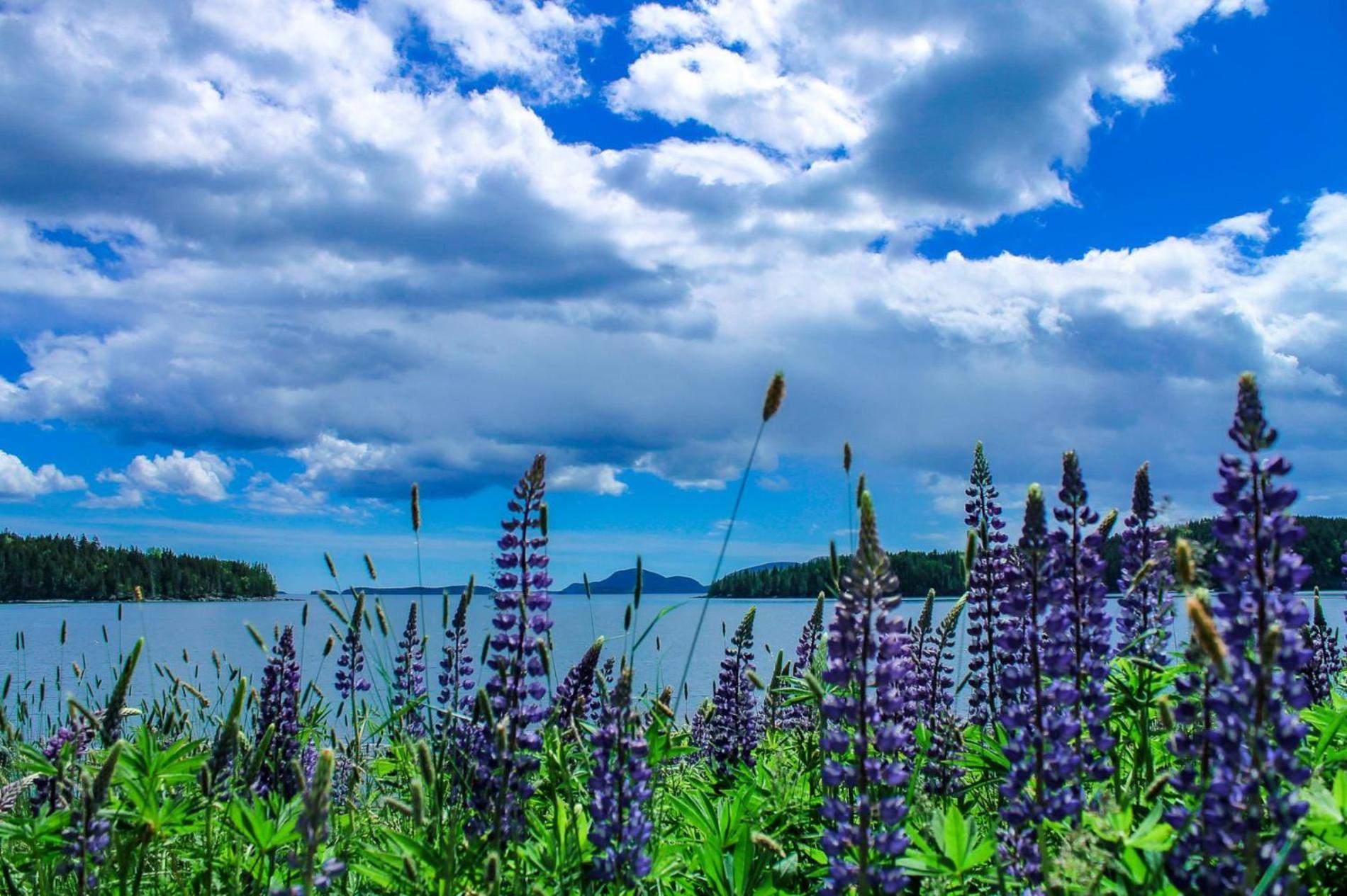 Holiday home Hikers Dream Bar Harbor