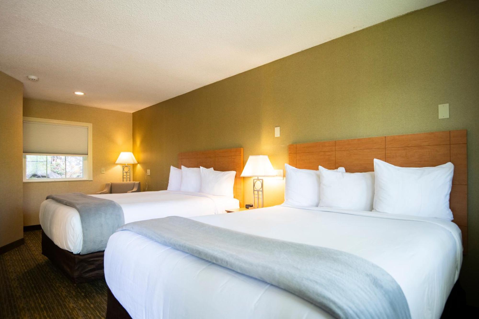 Hotel Seasider 3*